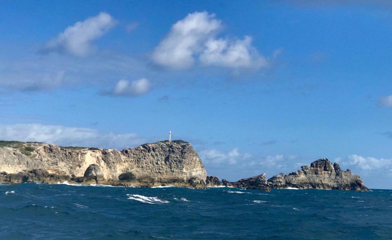 Villa Coco Paradise A 800M De La Mer サン・フランソワ エクステリア 写真